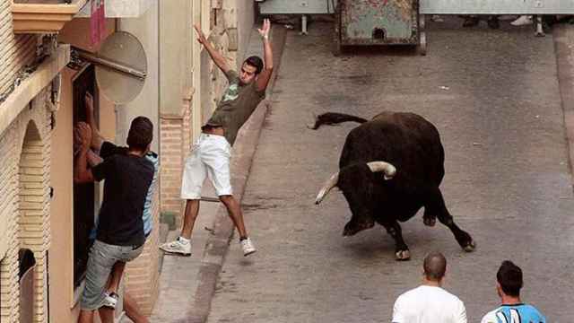 Un toro entra en una casa en Castellón y cornea de gravedad a un hombre