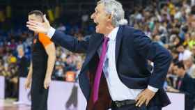 Pesic durante el partido del Barça contra el Alba de Berlín / FC Barcelona