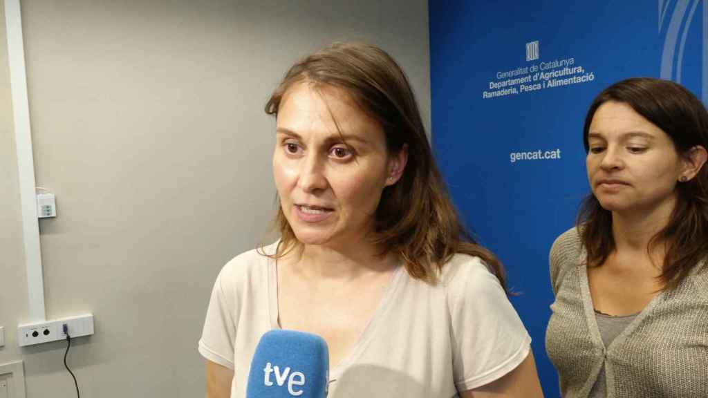 Meritxell Serret, número 2 de ERC en Lleida en las elecciones catalanas