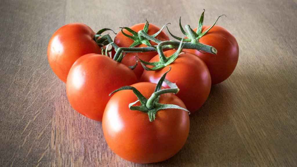 Tomates procedentes de supermercados ecológicos / PIXABAY