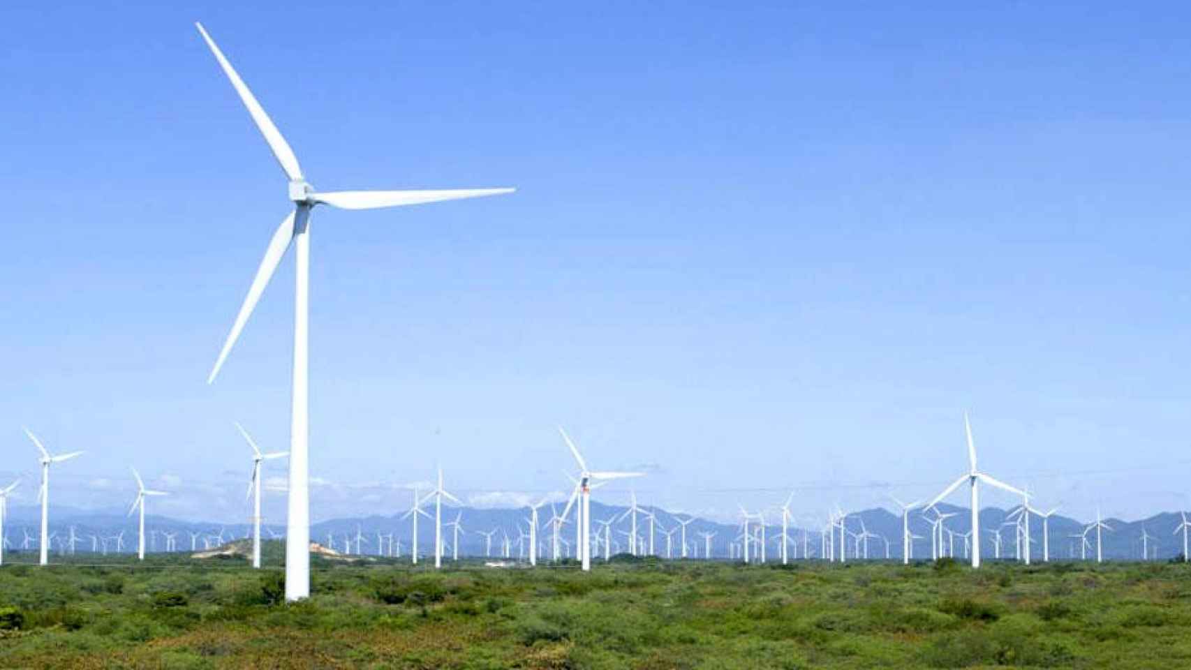 Imagen de un parque eólico, paradigma de activo relacionado con la financiación a través de dinero 'verde' / EFE
