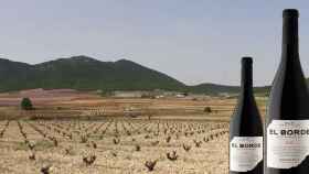 Viñedos junto a dos botellas del vino 'El Borde' / BODEGAS DEL ROSARIO DE BULLAS