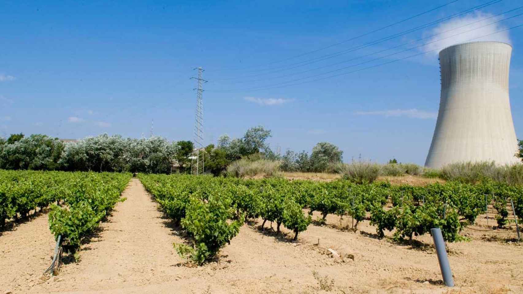 Central nuclear de Ascó (Tarragona), donde los tres individuos que han quedado en libertad entraron a robar / EUROPA PRESS