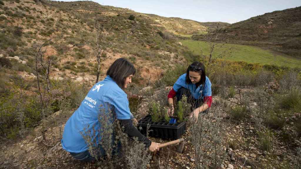 Caixabank, reconocido como líder contra el cambio climático / LA CAIXA