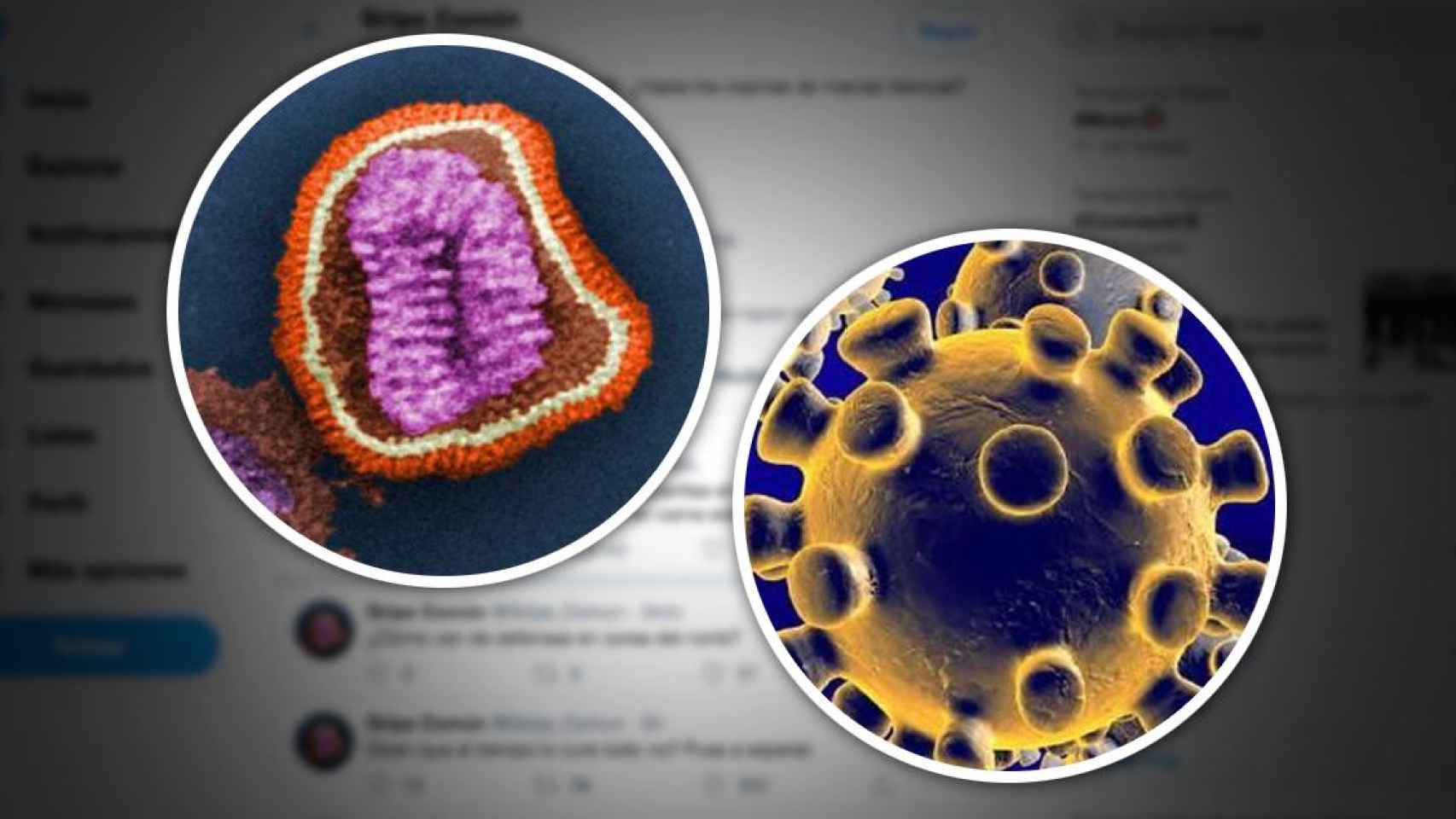 Imágenes de las cuentas @CoronaVid19 (Coronavirus) y @Gripe_Comun (Gripe Común) en Twitter / CG