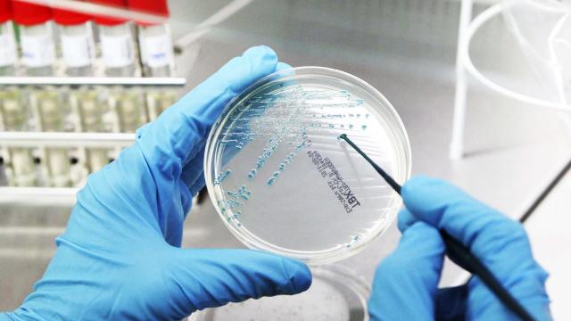 Uno de los científicos que buscan curar el cáncer / EFE