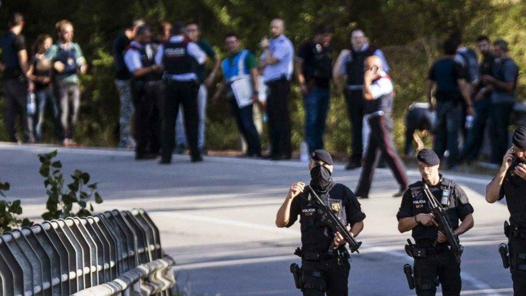 mossos viñedos subirats impactos