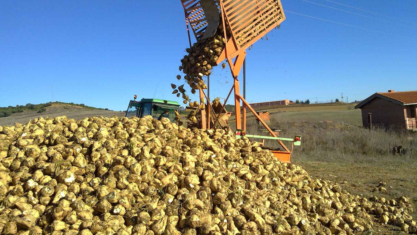 Un agricultor apila remolacha, que podría verse gravada por el impuesto del azúcar / EP