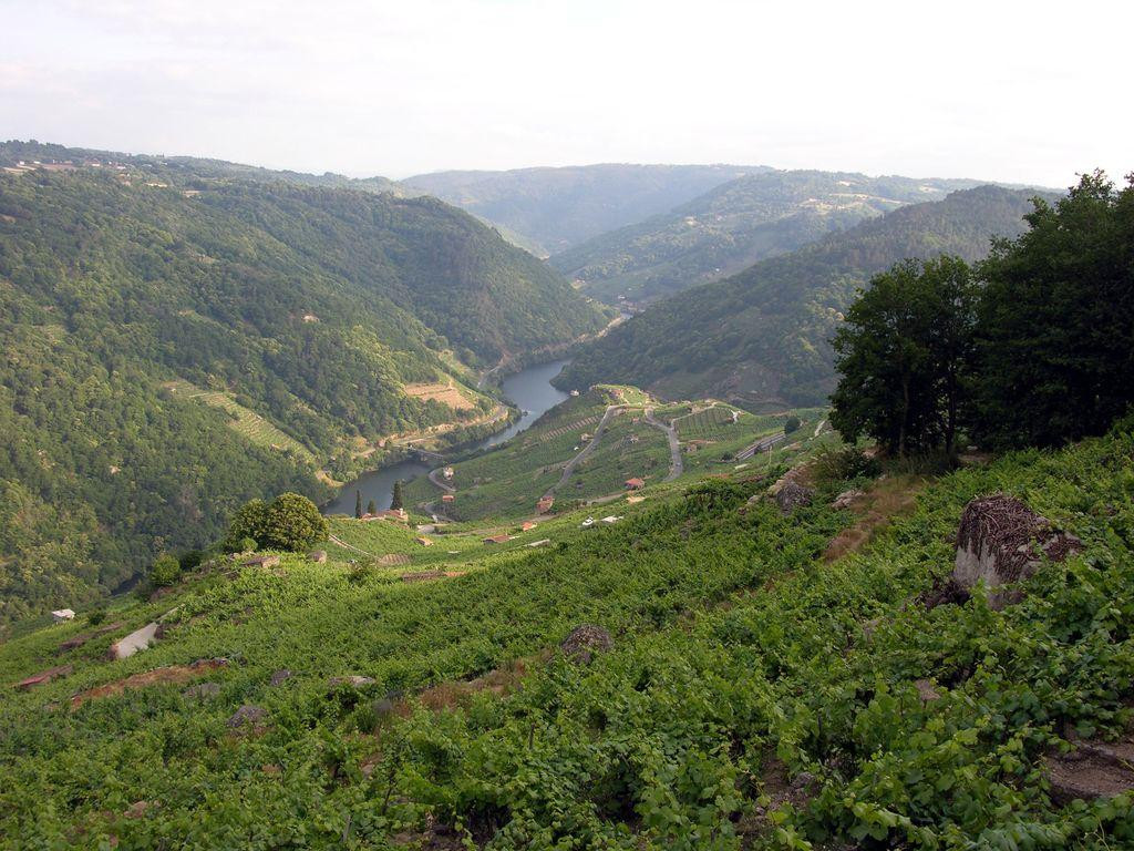 Vistas del entorno de Chantada / A Ribeira Sacra