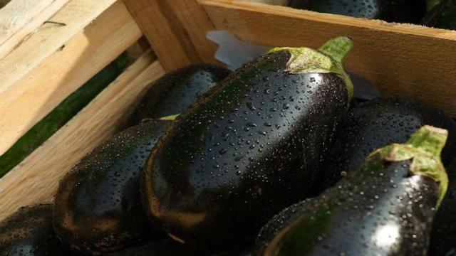 Una foto de archivo de una berenjena