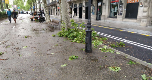Ramas caídas en Gran Via de Les Corts Catalanes / LUIS MIGUEL AÑÓN - CRÓNICA GLOBAL