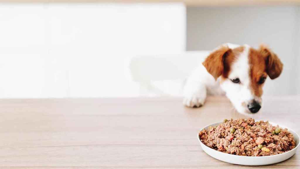 Un perro a dieta / DOGFY DIET