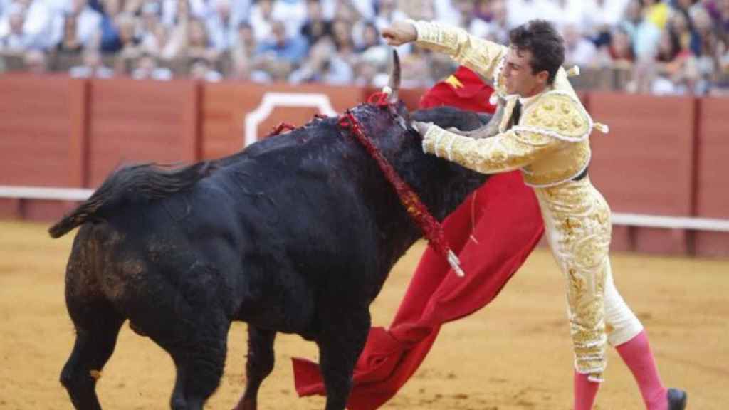 Rafael Serna cuando el toro le ha corneado