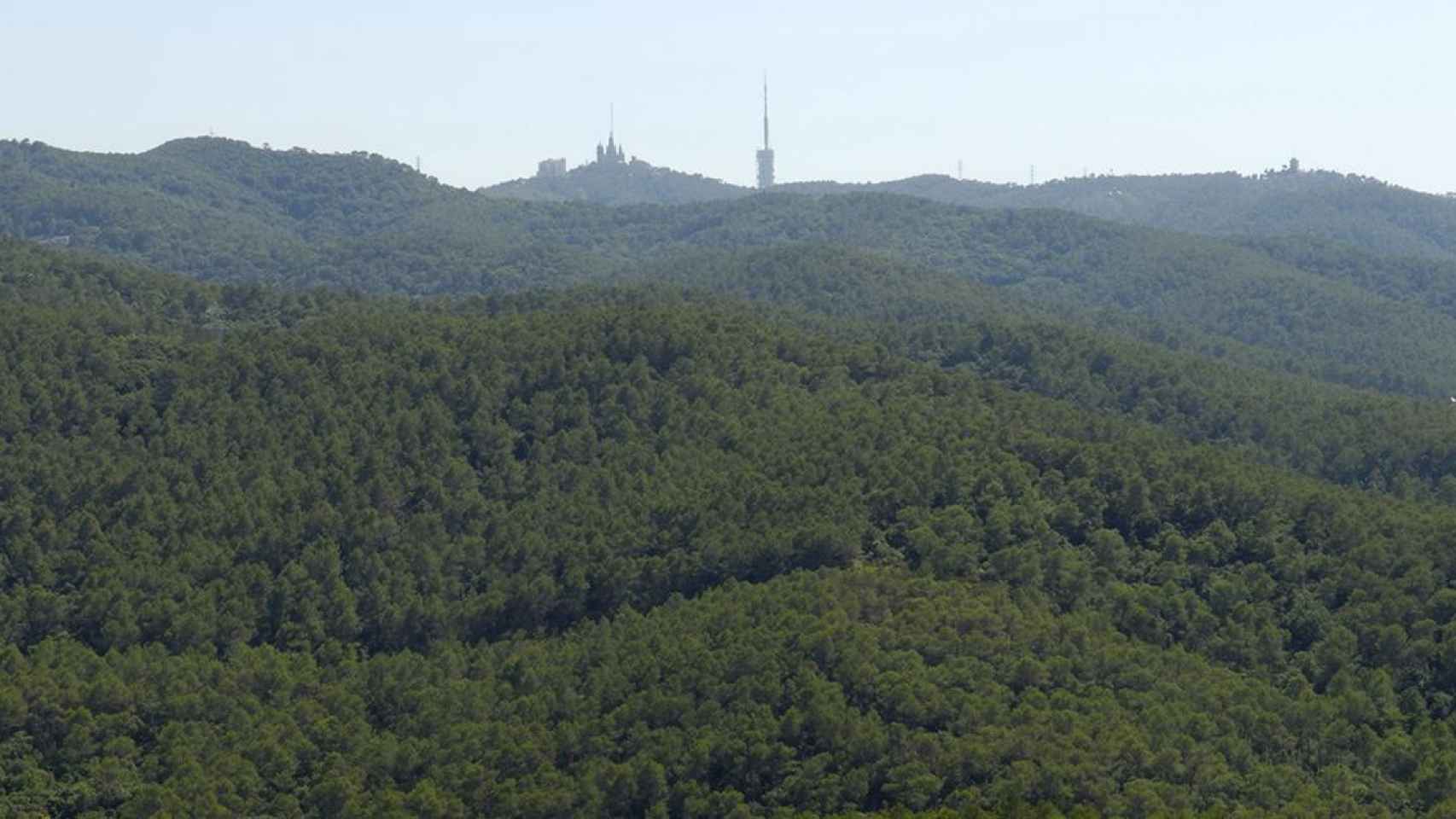 Imagen aérea del parque natural de Collserola / PNC