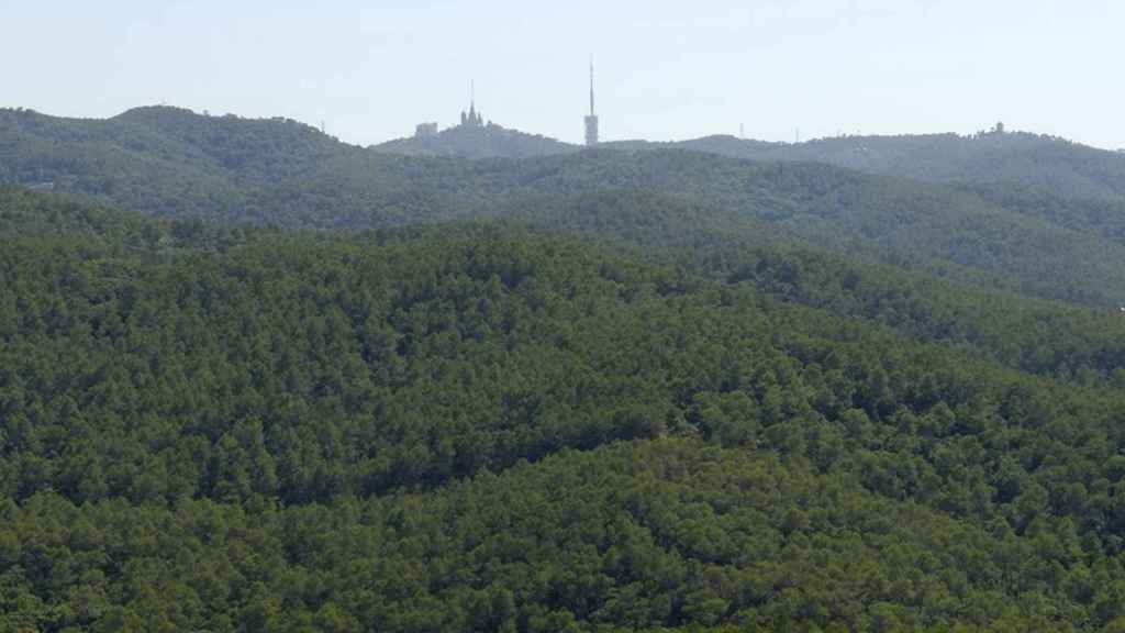 Imagen aérea del parque natural de Collserola / PNC