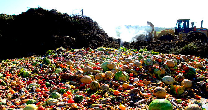 Toneladas de frutas y verduras de un vertedero en España / EFE