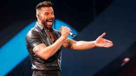 El cantante Ricky Martin / EFE