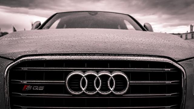 Impresionante morro de un Audi / PEXELS