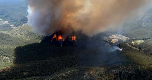 Incendio en Olivella, en el Garraf barcelonés / XARXA DE PARCS NATURALS