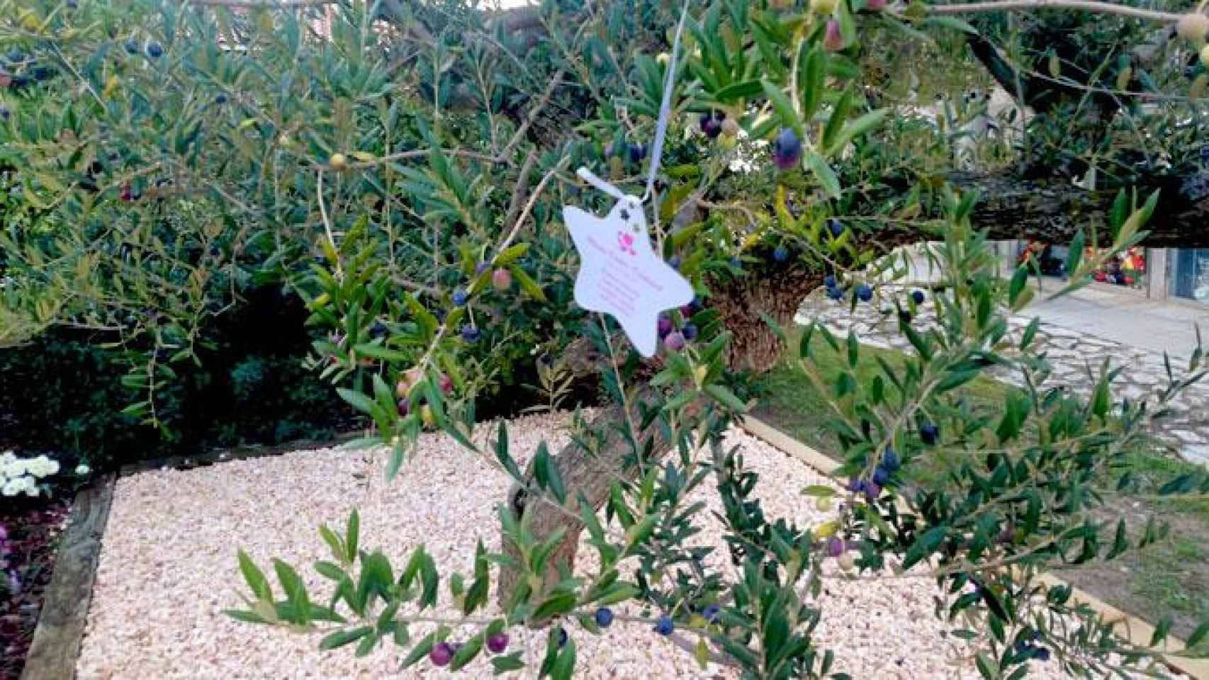 El espacio 'Empremtes' situado en el cementerio de Cervera / SERVEI DE DOL DE PONENT