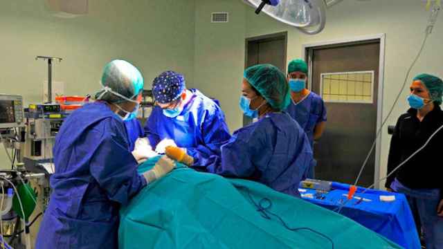 Imagen de una operación en el quirófano de un hospital / EFE