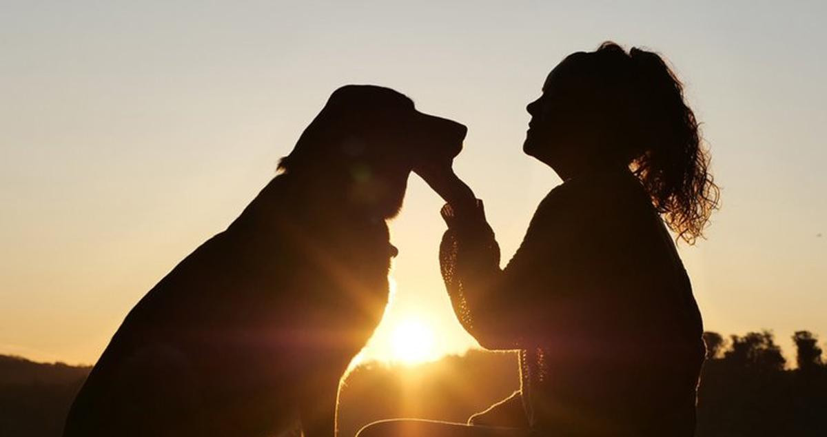 Una chica juega con su perro / PIXABAY