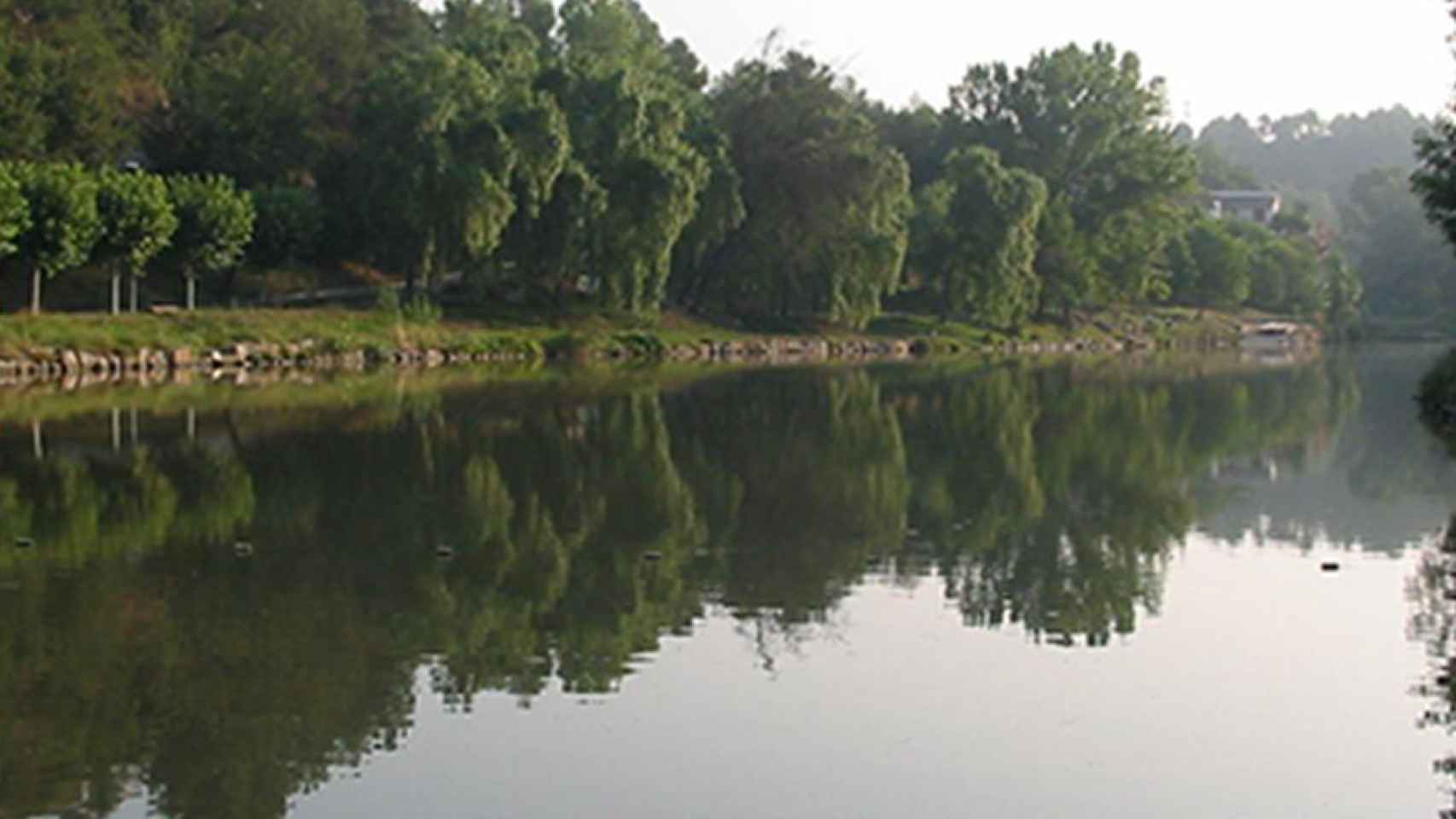 Vistas de Navarcles