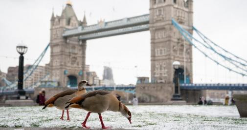 Puente sobre el río Támesis, en Londres