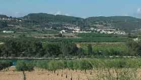 Finca La Gramanosa, en Avinyonet del Penedès, propiedad de Germina Finance / METRÓPOLI ABIERTA