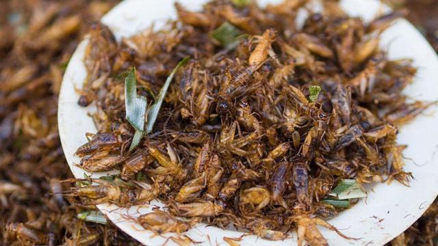 Grillos fritos en un mercado callejero de Tailandia / TAKEAWAY - WIKIMEDIA COMMONS