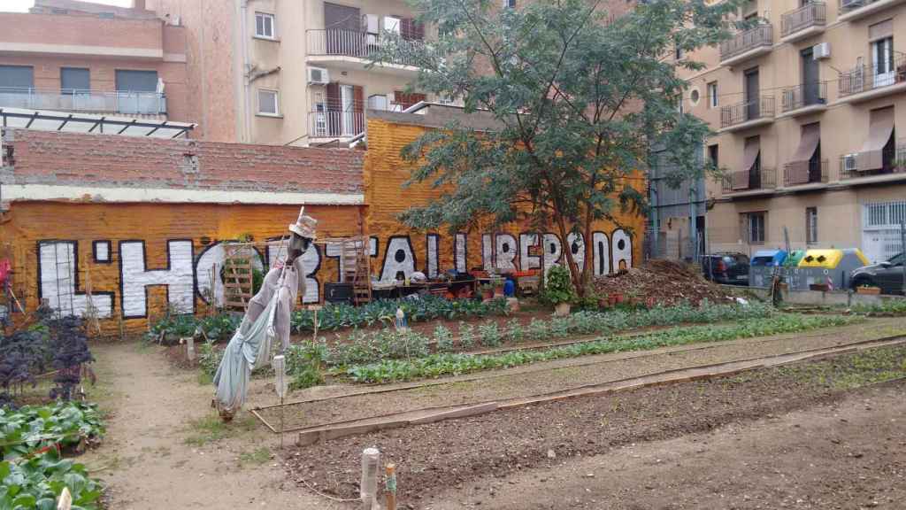 L'Horta Alliberada de Sants, el huerto urbano que ha ganado la batalla a los Mossos / CG