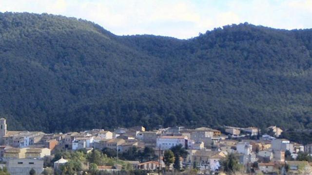 Imagen de la localidad de La Llacuna / CG