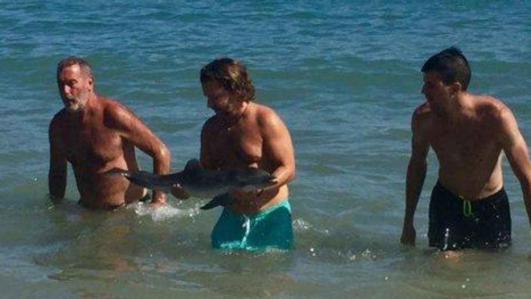 Una fotografía de los bañistas tocando a la cría de delfín