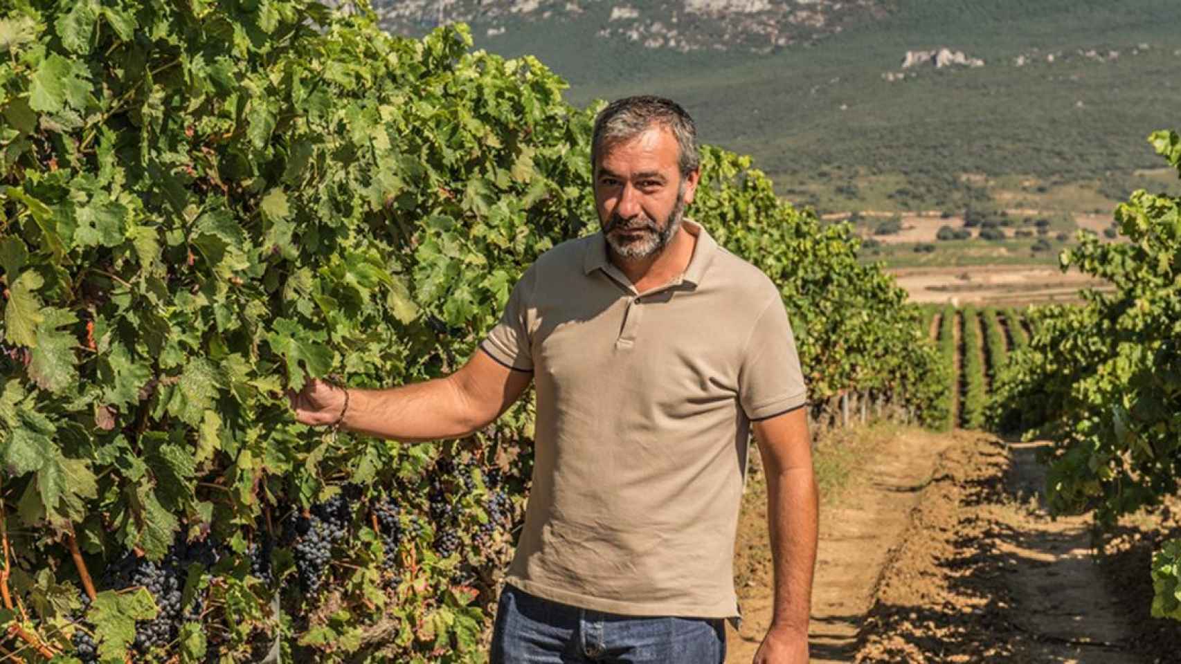 Carlos San Pedro, propietario de Bodegas Pujanza / CEDIDA