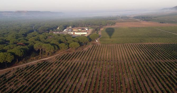 Sobrevolar los viñedos con Valla Globo es una buena forma de disfrutar del paisaje / YOLANDA CARDO