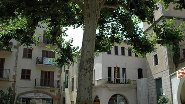 Vistas Arbúcies / CG