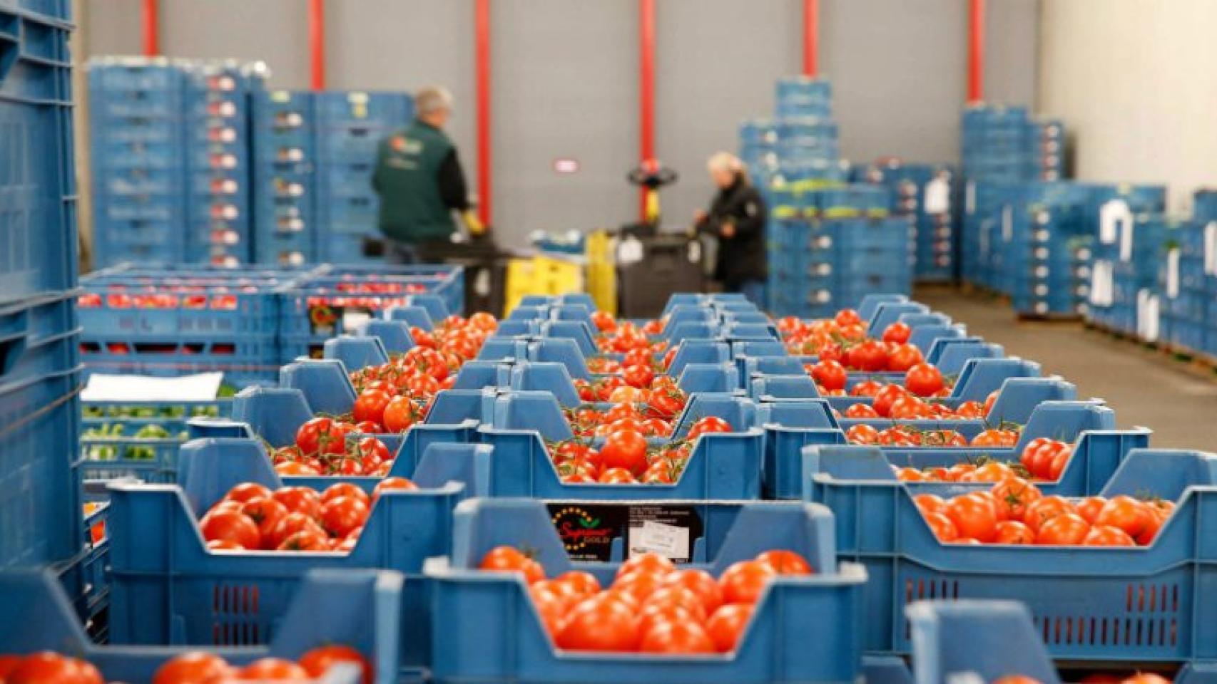 Una empresa agroalimentaria que distribuye tomates.
