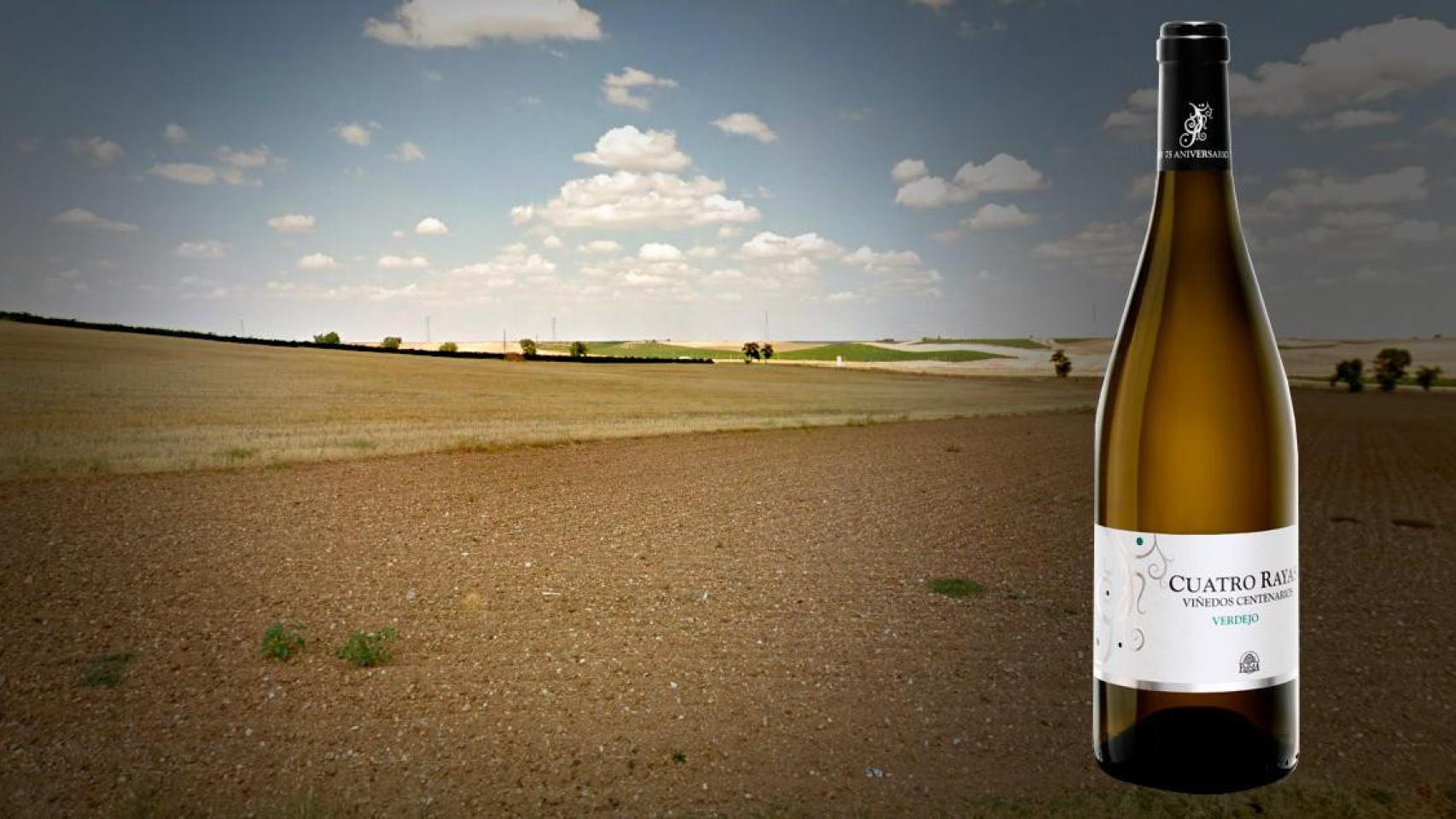 Verdejo, Cuatro Rayas, con La Seca de fondo