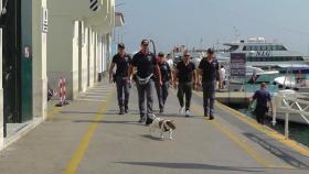 El perro policía Pocho junto a sus compañero / QUESTURA DI NAPOLI