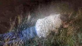 El hombre disfrazado de oveja en el pasto / REDES