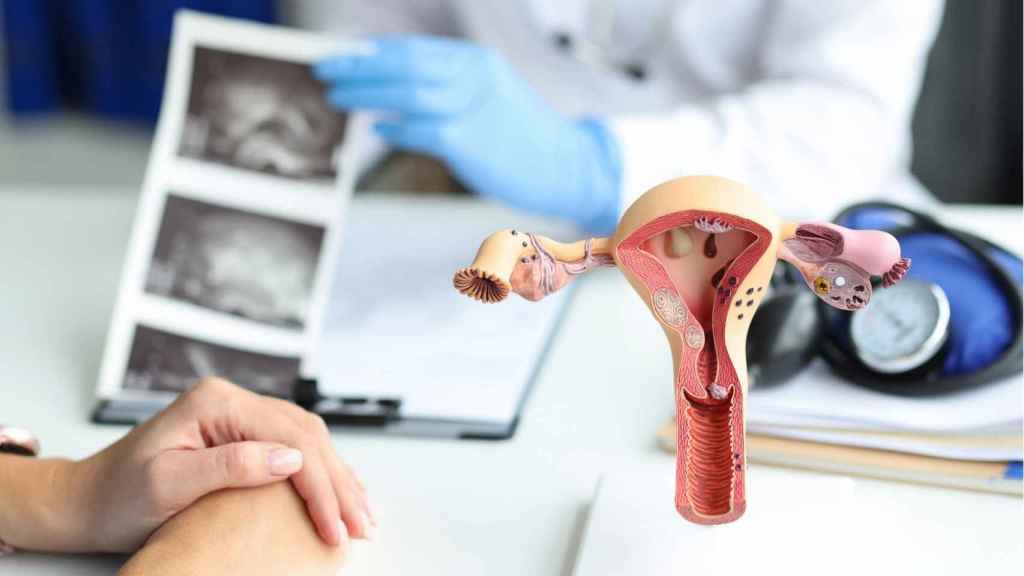 Los alisadores de pelo se asocian con el cáncer de útero