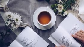 Un de los mejores libros para leer durante este otoño / ToughCatalog EN PIXABAY