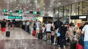 Caos en la estación de Sants por la interrupción del AVE debido a un robo de material ferroviario / CG