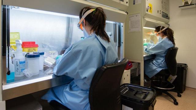 Una investigadora realiza pruebas sobre el coronavirus / HOSPITAL CLÍNIC