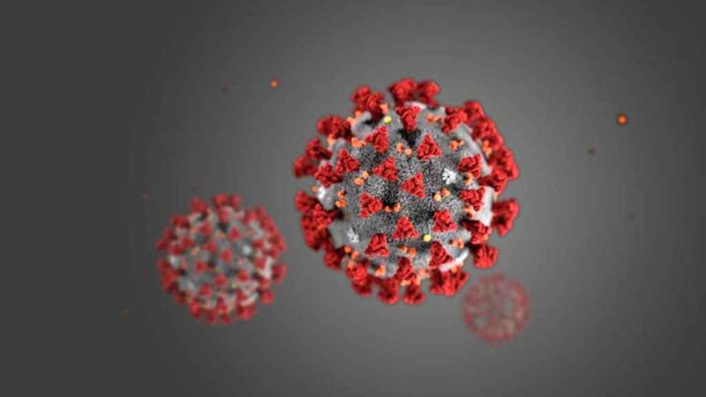 Recreación de la forma del coronavirus / NOVARTIS