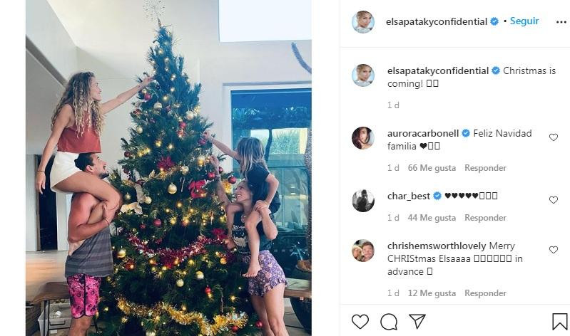 Imagen de Elsa Pataky montando el árbol de Navidad /INSTAGRAM