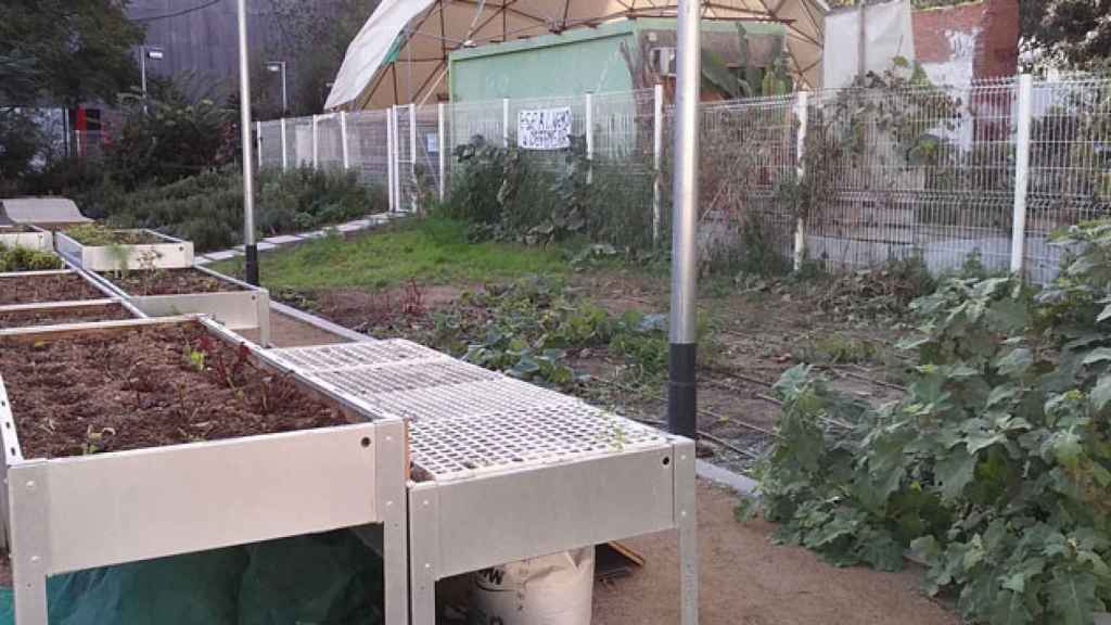 Un huerto urbano gestionado por los vecinos en una zona de los Jardines Emma / CG