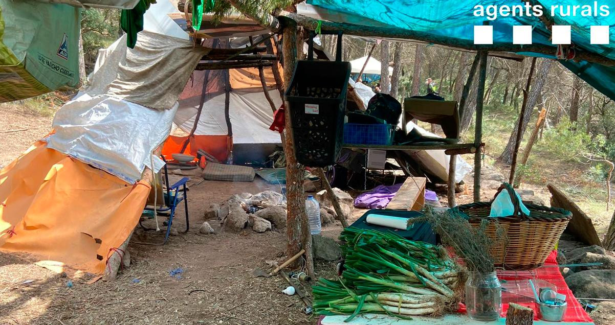 Calçotada a punto en la acampada ilegal de Gaià / AGENTS RURALS