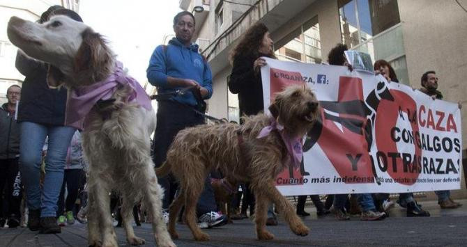 Una manifestación en Pontevedra en rechazo a la caza / EFE