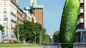 Hendrick's instala su primer huerto de pepino en España para preparar gintonics